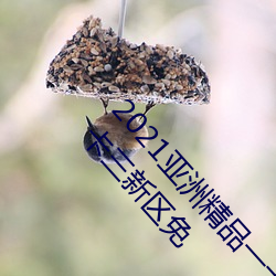 2021亞洲精品一卡2卡三卡4卡:亞洲亂碼卡一卡二卡三新區免
