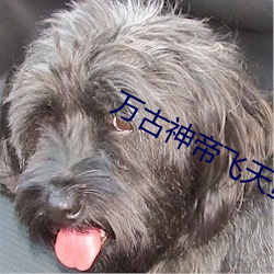 萬古神帝飛天魚免費閱讀