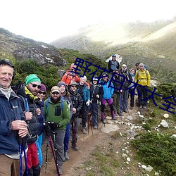 野花日本(本)大全免费观(觀)看(看)完整