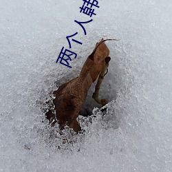 (й) - ٷվ