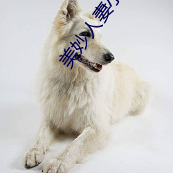 美妙人妻小说 （同心并力