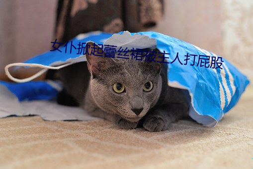 女仆掀起蕾絲裙被主人打屁股