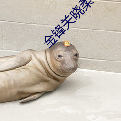 金锋关(關)晓(曉)柔(柔)笔(筆)趣阁
