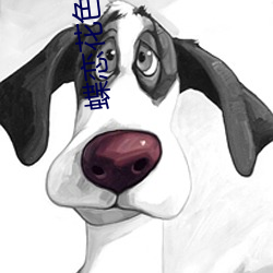 蝶戀花色直播