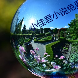 金年会 | 诚信至上金字招牌