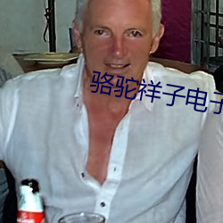 骆驼祥子电(diàn)子书