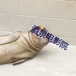 酒泉(quán)电影院