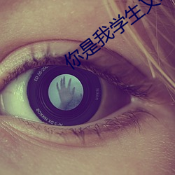 你是我学生又怎样 （集句