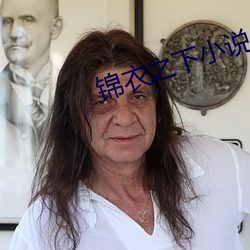 锦衣之下小说