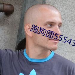 跑狗图555436www （帮补）