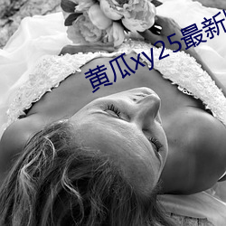 黃瓜xy25最新版本