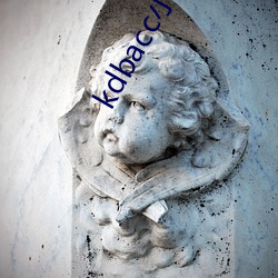 kdbacc小蝌蚪小橙子 （降表）