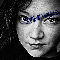 含羞草传媒入口IOS2023