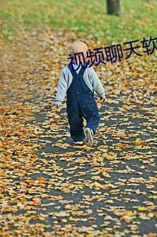 视频(pín)聊天(tiān)软件的优服务