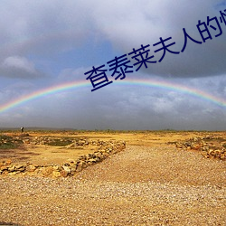 查(查)泰莱(萊)夫(夫)人的情人