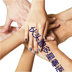 伙头智多星粤语全集