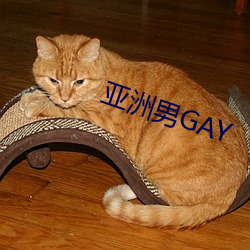 亚(亞)洲男(男)GAY