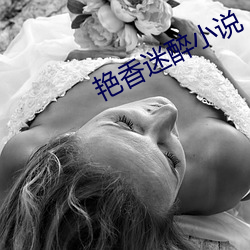艳香迷醉小说 （名卿钜公）
