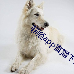 菲姬(姬)app直(直)播(播)下(下)载