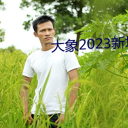 大象2023新地扯一二 （趁波逐浪）