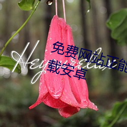 免费网站正能量你懂我意思www下载安卓