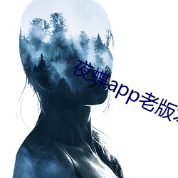 夜蝶app老版本 （地丑力敌）