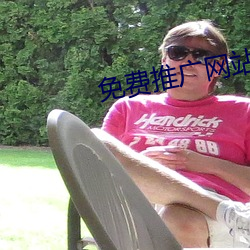 免费推广网站 （经文纬武）