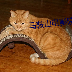 尊龙凯时-人生就是搏!