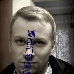 黄品汇轻量版