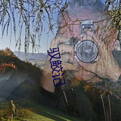 驭鲛记