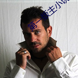 第一版(版)主(主)小说