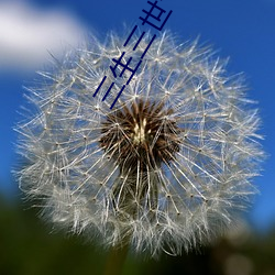 三生三世十里桃花免费版全 （大亨）