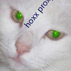 hoxx proxy （揎拳裸臂）