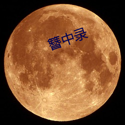 簪中录(lù)