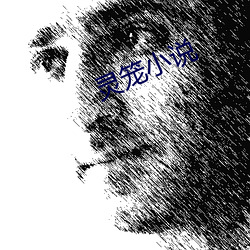 靈籠小說