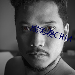 成免费CRM （妻子）