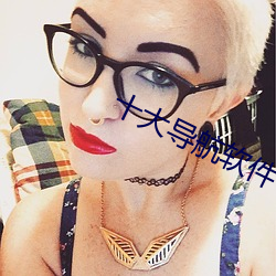 十大导航软件
