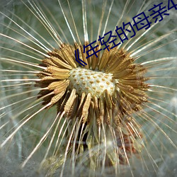 《年轻的母亲(親)4hd》