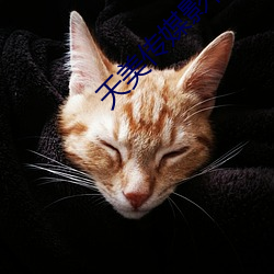 天(天)美传媒(媒)影视(視)