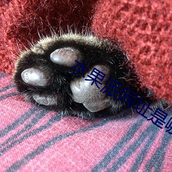 水(shuǐ)果派网(wǎng)址(zhǐ)是(shì)哪个