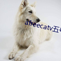 afreecatv五号房(房)