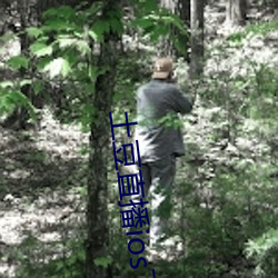 土豆直播ios下载(zài)安装