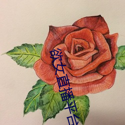 欲女(女)直播(播)平台(台)