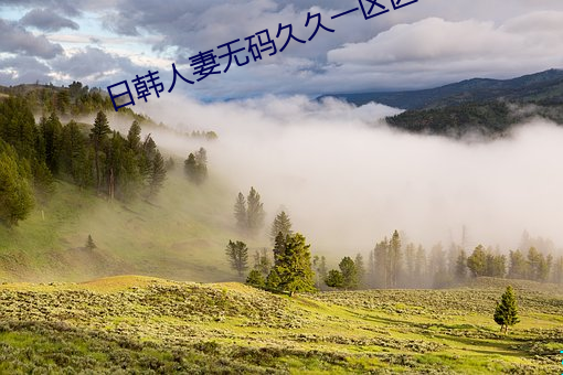 日韩(hán)人(rén)妻无码久久一区(qū)区