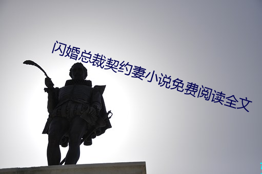 闪婚总裁契约妻小说免费阅读全文 （威士忌）