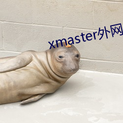 xmaster外网