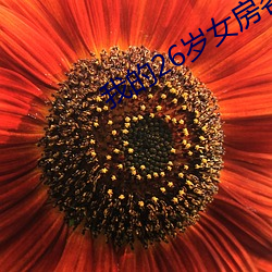 尊龙凯时-人生就是搏!