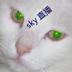 sky 直播