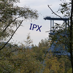 IPX （厚古薄今）