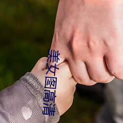 凯时|AG(AsiaGaming)优质运营商